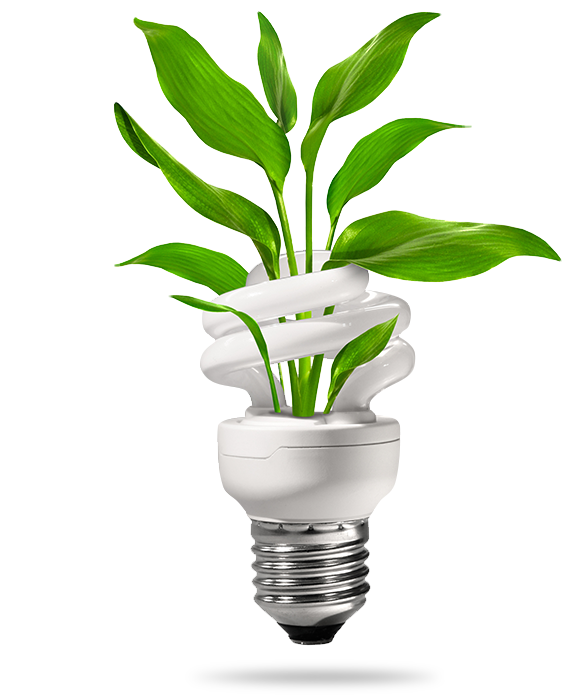 Lightbulb for green efficiency